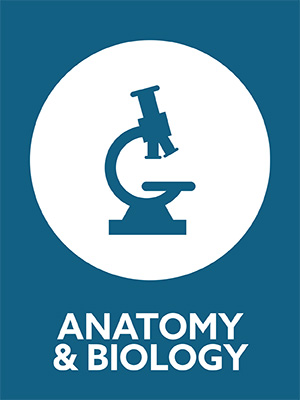 Discovery kits. Anatomy and biology : microscope.