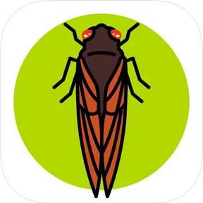 The Cicada Safari App