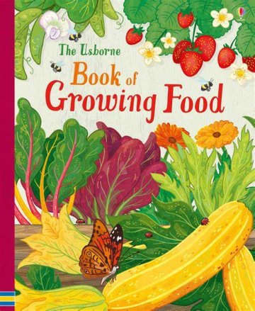 The Usborne Book of Growing Food by Abigail Wheatley